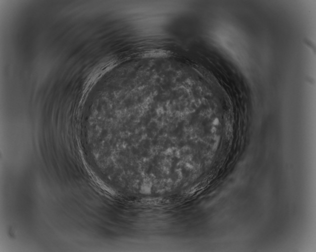 X0000097470049200803201456