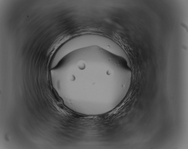 X0000097470050200803201456