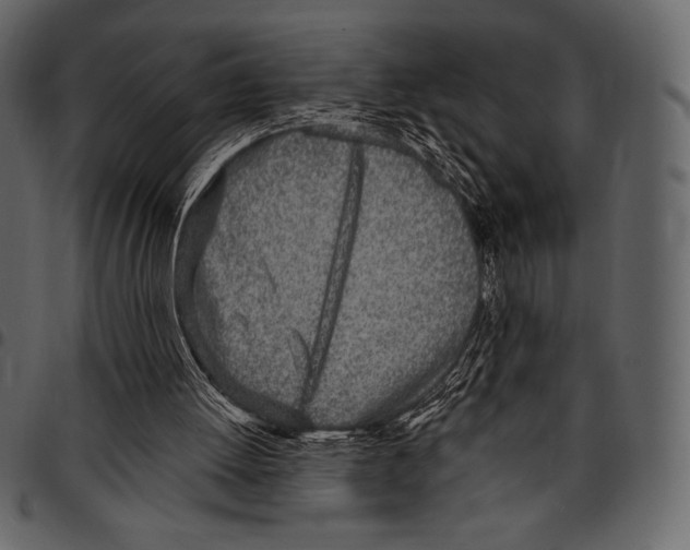 X0000097470052200803201456