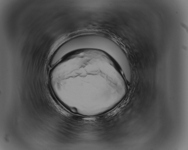 X0000097470053200803201456