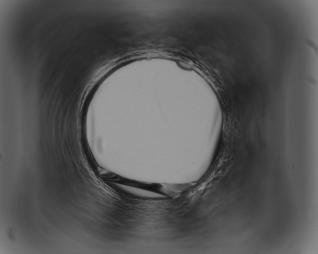 X0000097470055200803201456