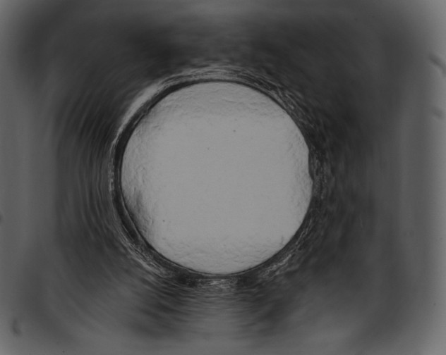 X0000097470056200803201456