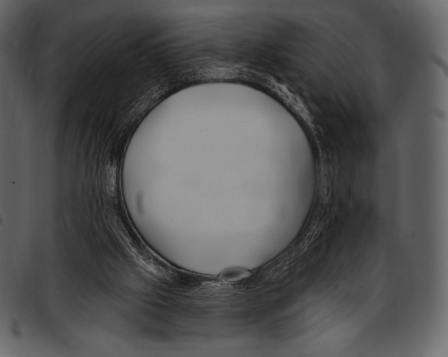 X0000097470057200803201456