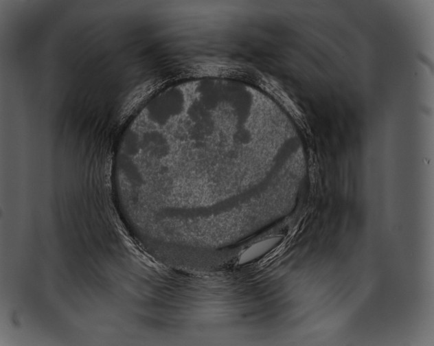 X0000097470058200803201456