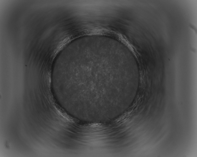 X0000097470059200803201457