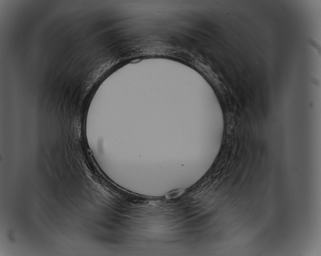 X0000097470060200803201457