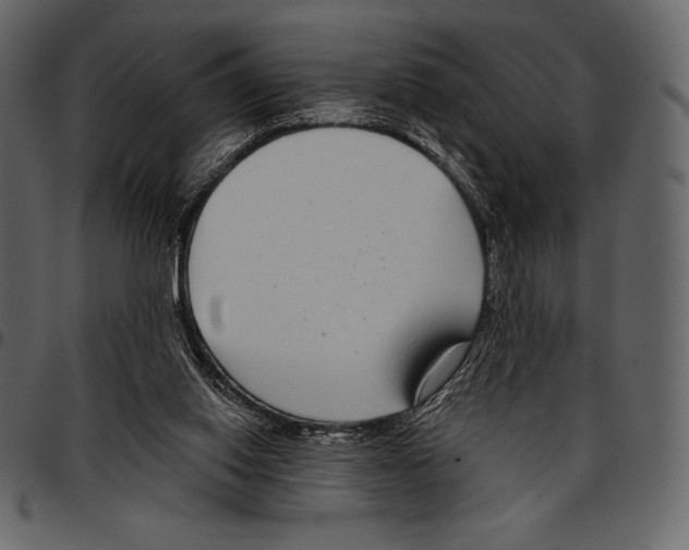 X0000097470062200803201457