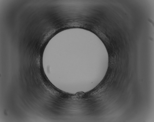 X0000097470064200803201457