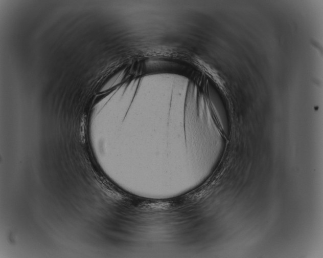 X0000097470065200803201457