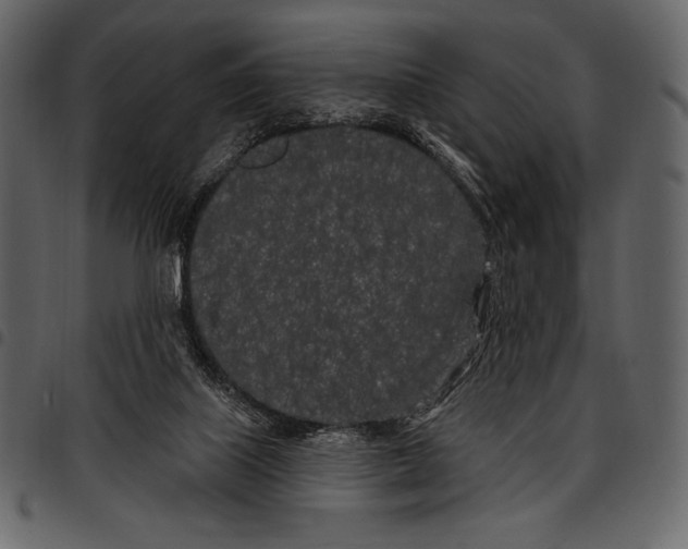 X0000097470067200803201457