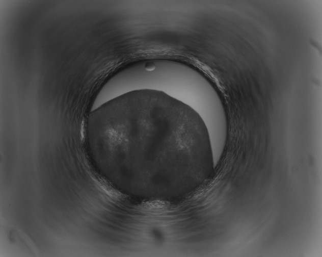 X0000097470069200803201457