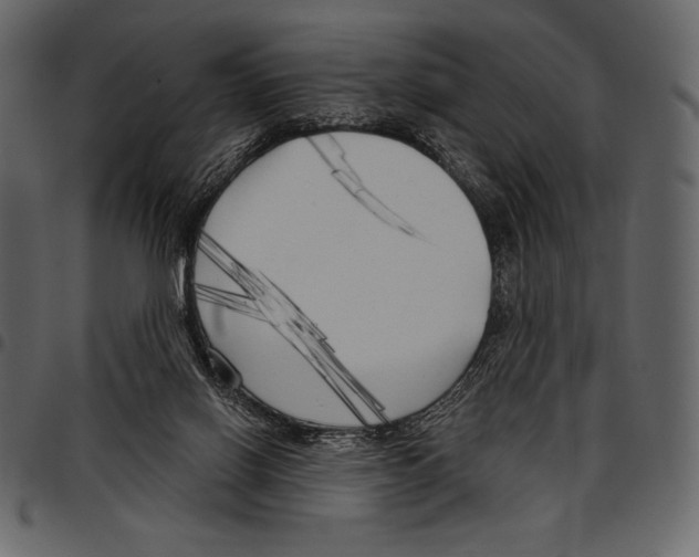 X0000097470070200803201457