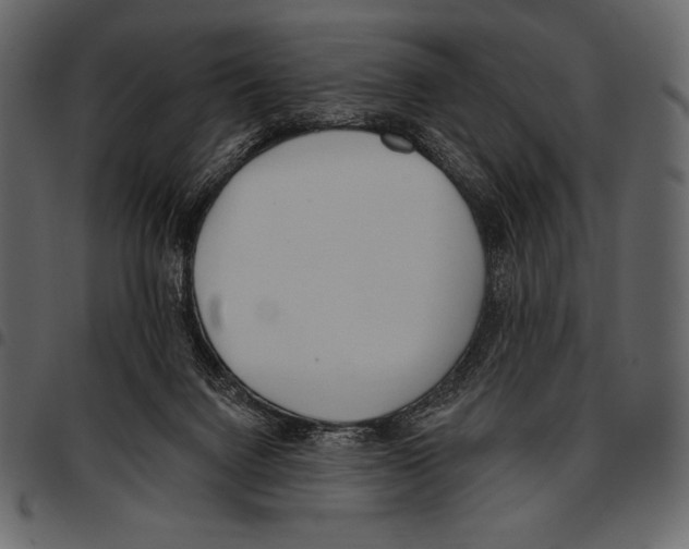 X0000097470072200803201457