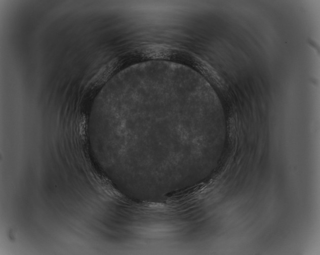 X0000097470073200803201457