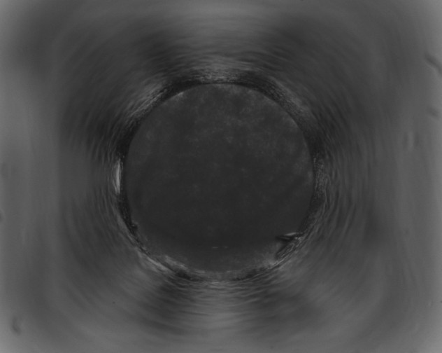 X0000097470076200803201457