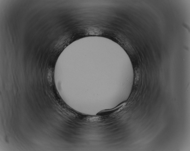 X0000097470078200803201457