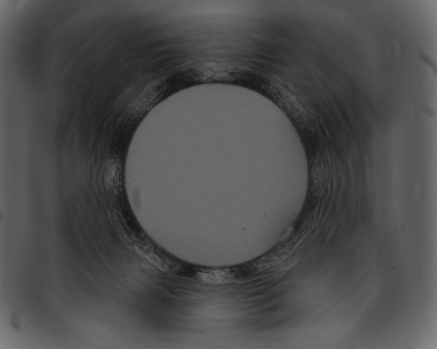 X0000097470079200803201457