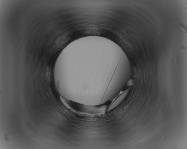 X0000097470080200803201457