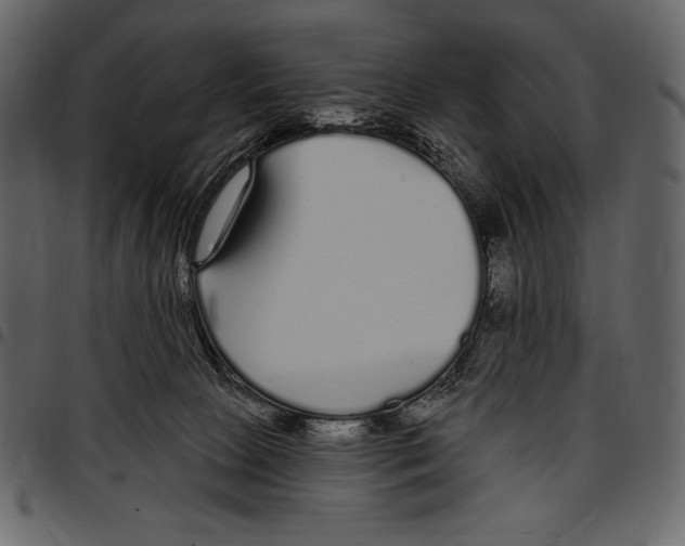 X0000097470081200803201457