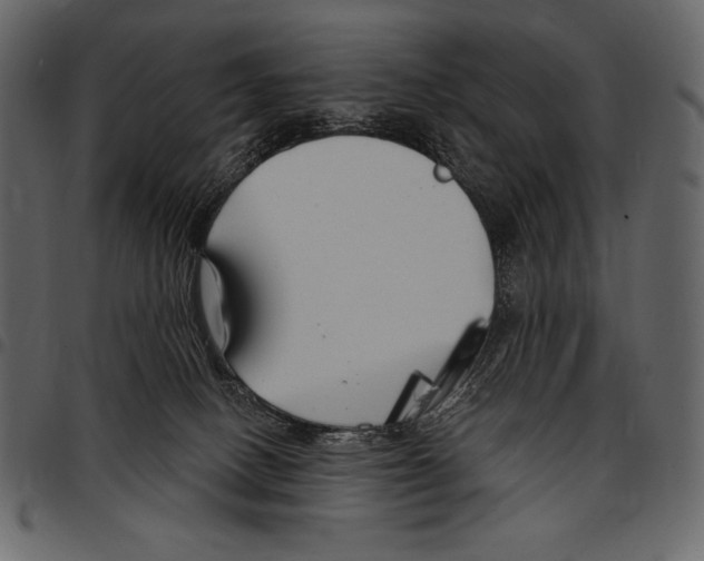 X0000097470082200803201457