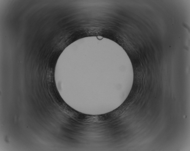 X0000097470083200803201457