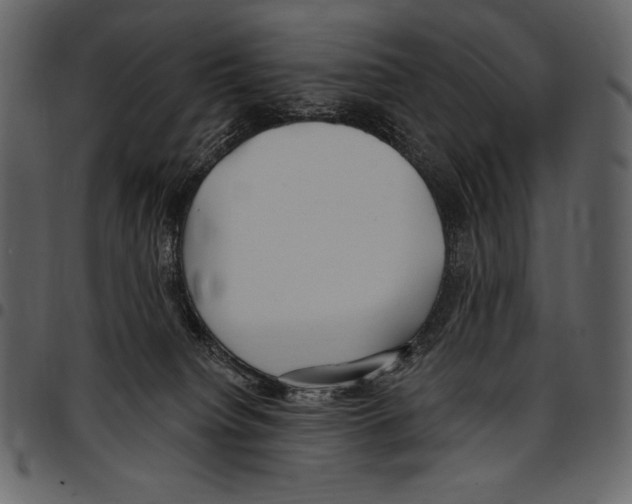 X0000097470084200803201457