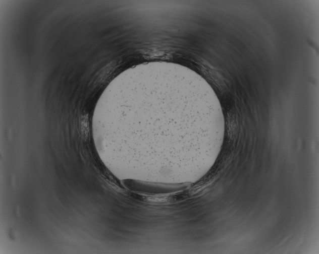 X0000097470085200803201457