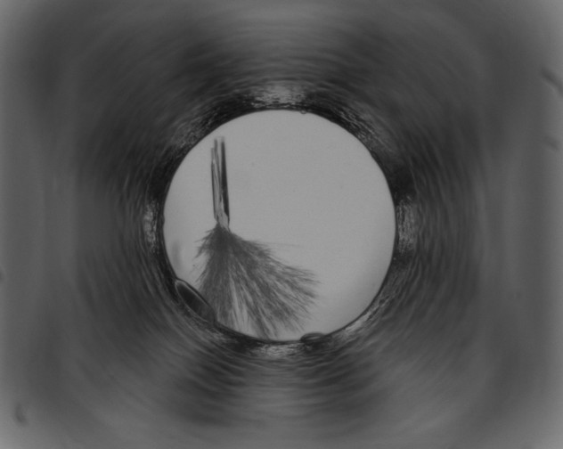 X0000097470086200803201457