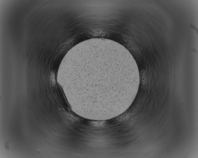 X0000097470089200803201457