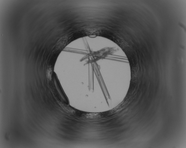 X0000097470090200803201457