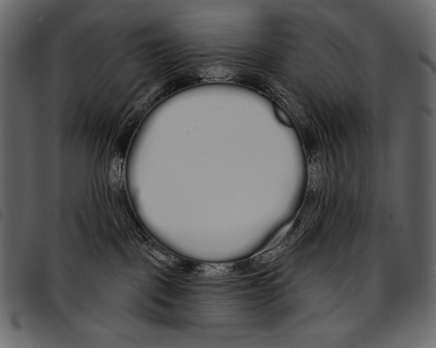 X0000097470093200803201457