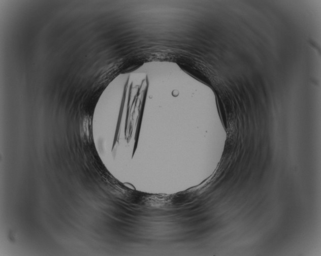 X0000097470094200803201457