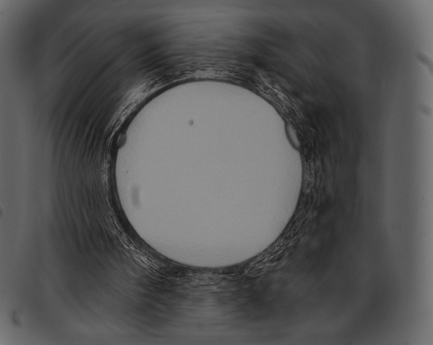 X0000097470098200803201456