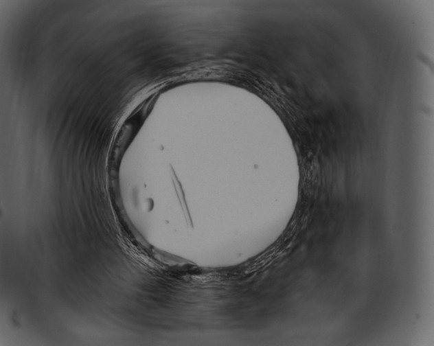 X0000097470100200803201456