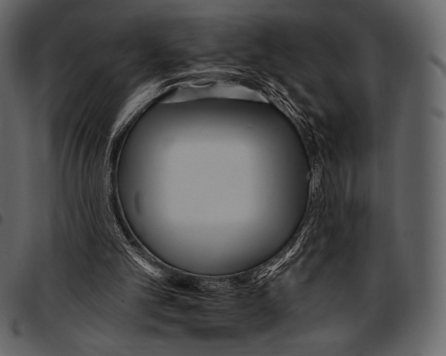 X0000097470101200803201456