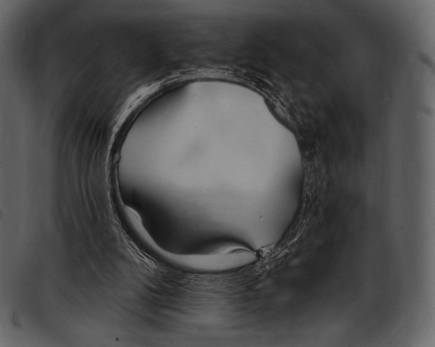 X0000097470104200803201456