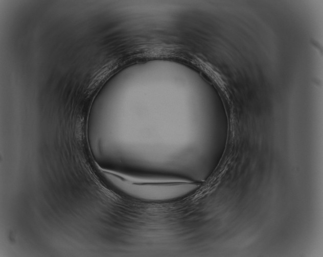 X0000097470105200803201456