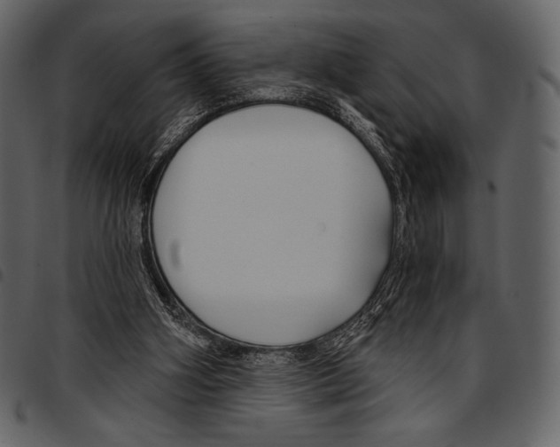 X0000097470106200803201456