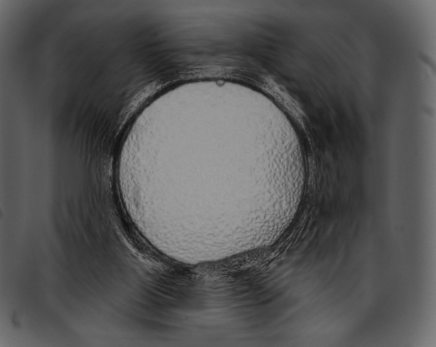 X0000097470107200803201456