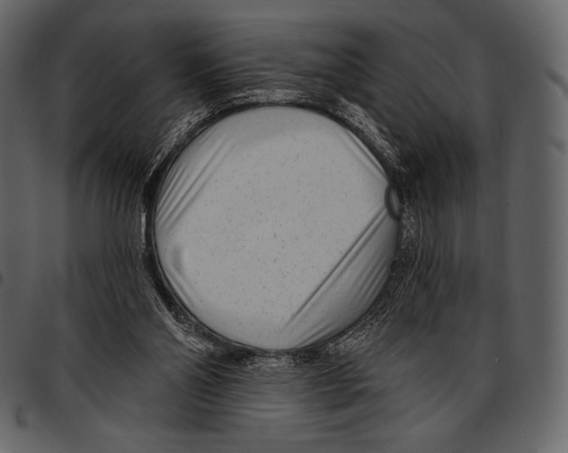 X0000097470110200803201456