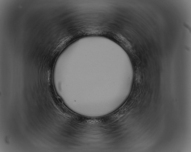 X0000097470115200803201456