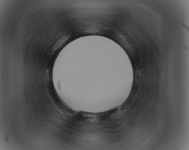 X0000097470116200803201456