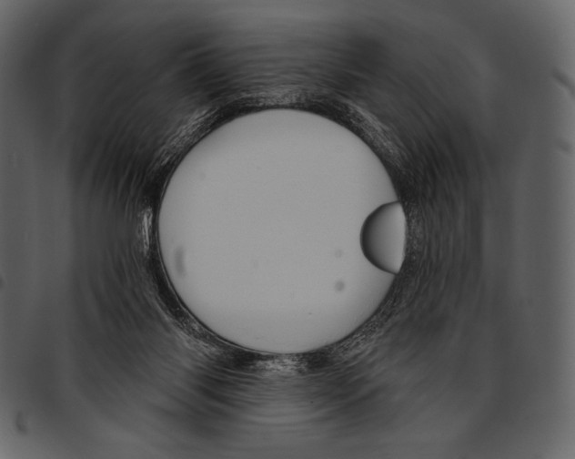 X0000097470118200803201456