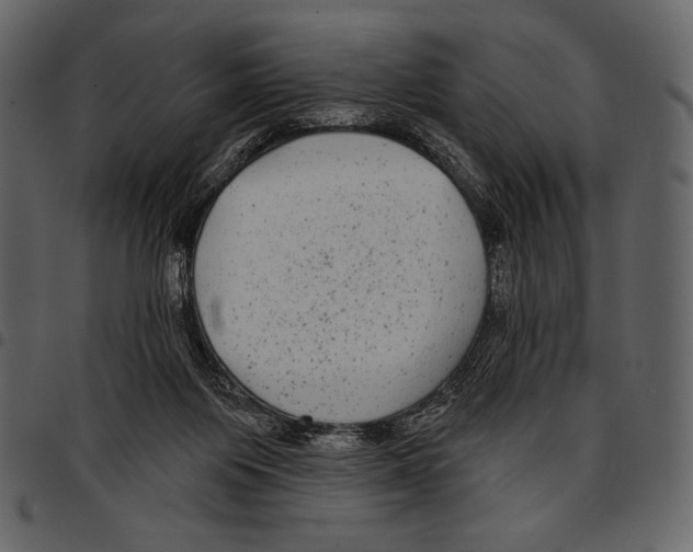 X0000097470119200803201456