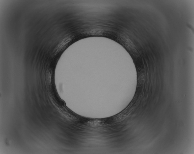 X0000097470120200803201456