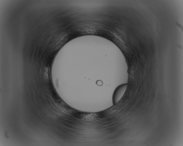 X0000097470122200803201456