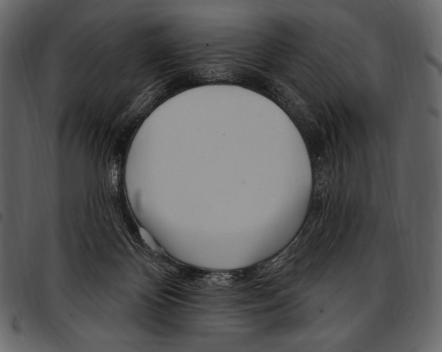 X0000097470124200803201456