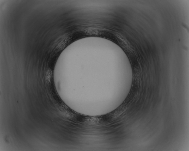 X0000097470125200803201456