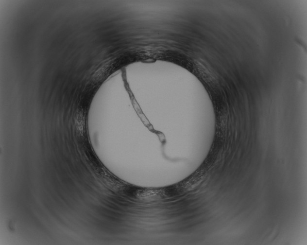 X0000097470129200803201456