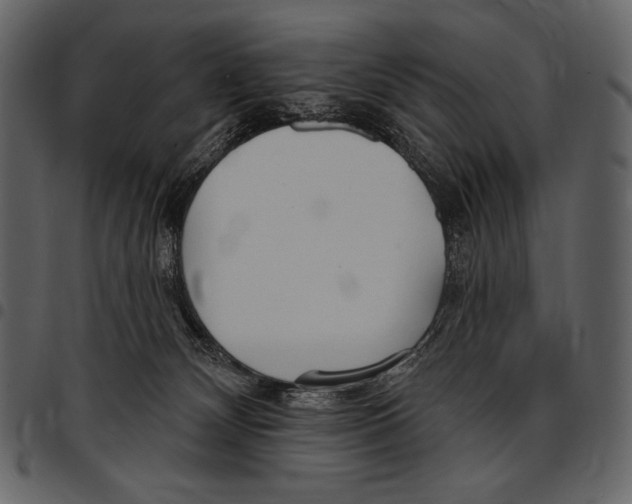 X0000097470132200803201456